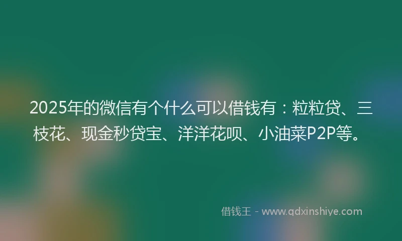 2025年的微信有个什么可以借钱有：粒粒贷、三枝花、现金秒贷宝、洋洋花呗、小油菜P2P等。
