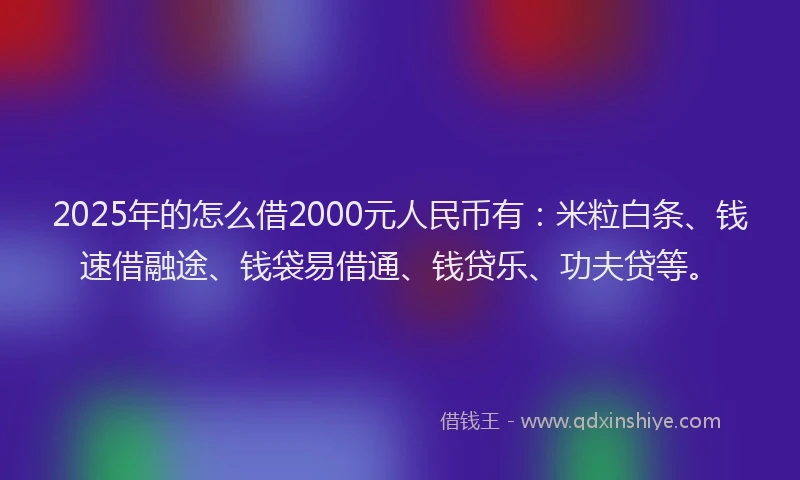 2025年的怎么借2000元人民币有：米粒白条、钱速借融途、钱袋易借通、钱贷乐、功夫贷等。