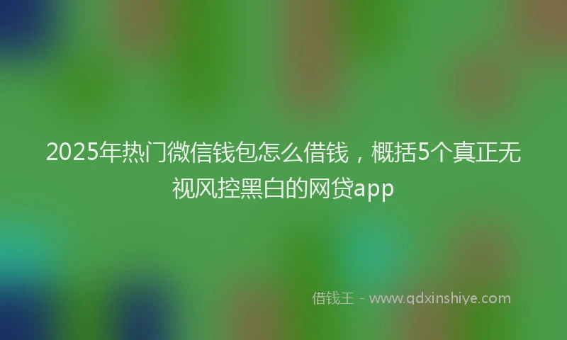 2025年热门微信钱包怎么借钱，概括5个真正无视风控黑白的网贷app