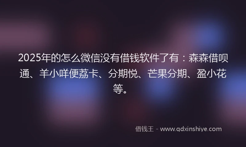 2025年的怎么微信没有借钱软件了有：森森借呗通、羊小咩便荔卡、分期悦、芒果分期、盈小花等。
