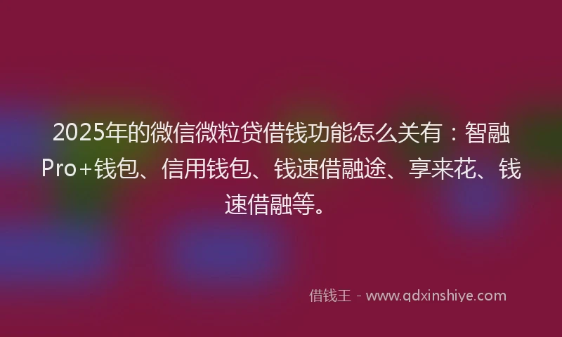 2025年的微信微粒贷借钱功能怎么关有：智融Pro+钱包、信用钱包、钱速借融途、享来花、钱速借融等。