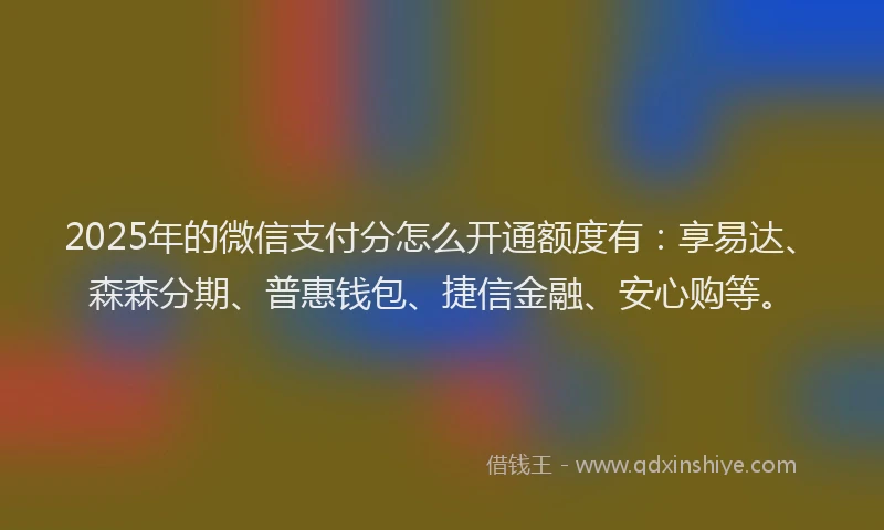 2025年的微信支付分怎么开通额度有:享易达、森森分期、普惠钱包、捷信金融、安心购等。