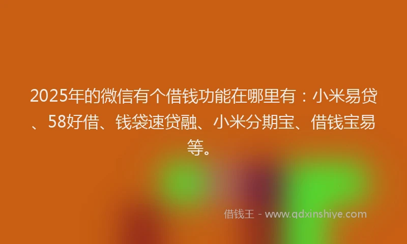 2025年的微信有个借钱功能在哪里有：小米易贷、58好借、钱袋速贷融、小米分期宝、借钱宝易等。