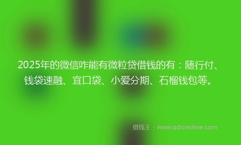 2025年的微信咋能有微粒贷借钱的有：随行付、钱袋速融、宜口袋、小爱分期、石榴钱包等。