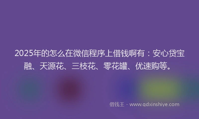 2025年的怎么在微信程序上借钱啊有:安心贷宝融、天源花、三枝花、零花罐、优速购等。