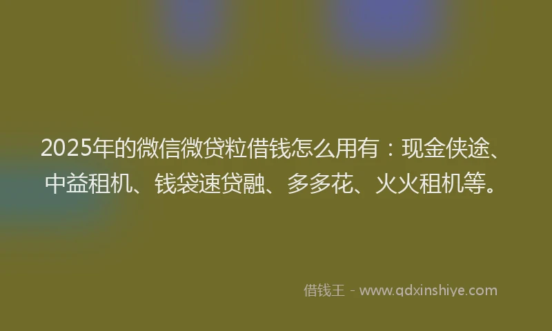 2025年的微信微贷粒借钱怎么用有：现金侠途、中益租机、钱袋速贷融、多多花、火火租机等。