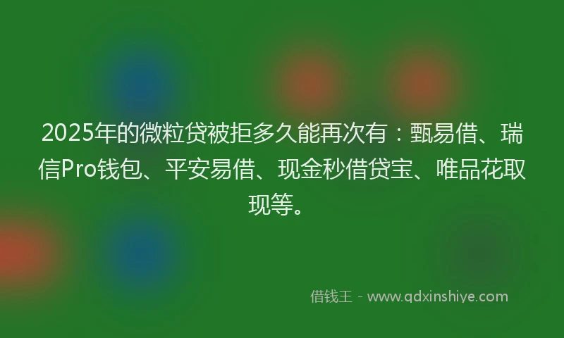 2025年的微粒贷被拒多久能再次有：甄易借、瑞信Pro钱包、平安易借、现金秒借贷宝、唯品花取现等。