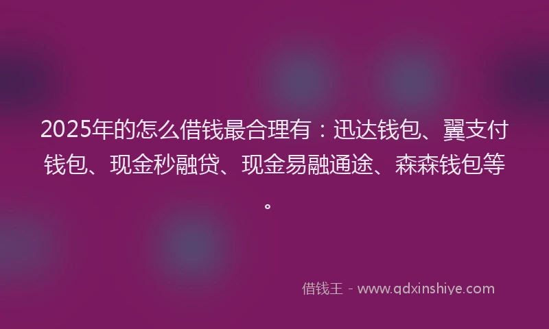 2025年的怎么借钱最合理有：迅达钱包、翼支付钱包、现金秒融贷、现金易融通途、森森钱包等。