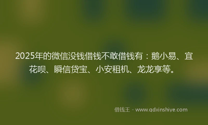 2025年的微信没钱借钱不敢借钱有：鹅小易、宜花呗、瞬信贷宝、小安租机、龙龙享等。