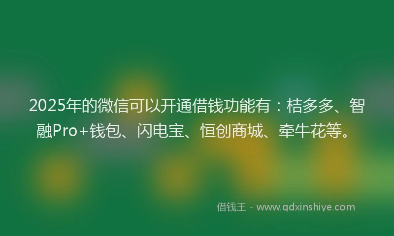 2025年的微信可以开通借钱功能有：桔多多、智融Pro+钱包、闪电宝、恒创商城、牵牛花等。