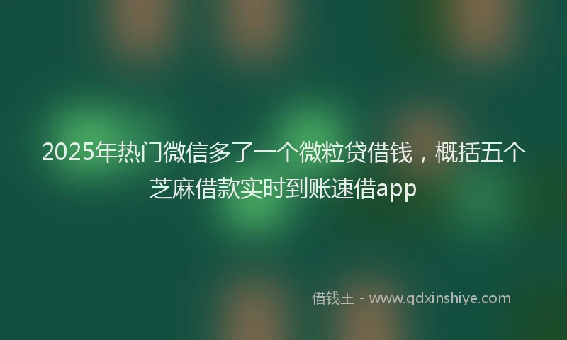 2025年热门微信多了一个微粒贷借钱，概括五个芝麻借款实时到账速借app
