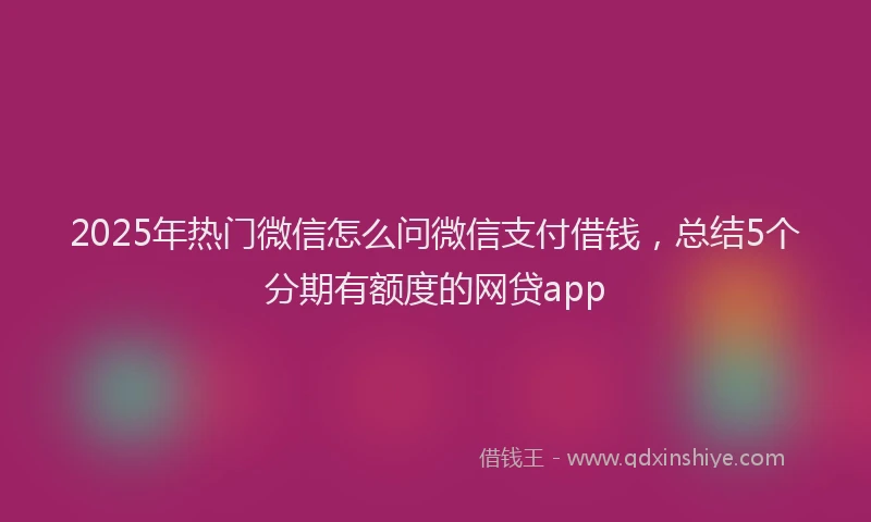 2025年热门微信怎么问微信支付借钱，总结5个分期有额度的网贷app
