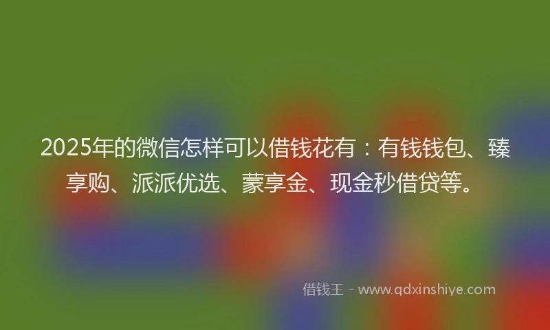 2025年的微信怎样可以借钱花有：有钱钱包、臻享购、派派优选、蒙享金、现金秒借贷等。