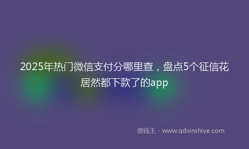 2025年热门微信支付分哪里查，盘点5个征信花居然都下款了的app