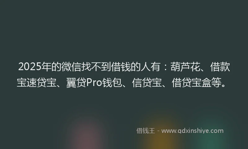 2025年的微信找不到借钱的人有：葫芦花、借款宝速贷宝、翼贷Pro钱包、信贷宝、借贷宝盒等。
