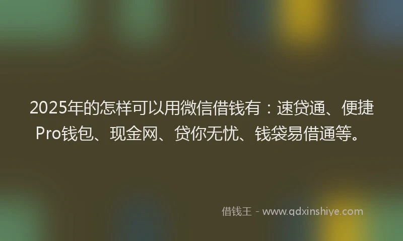 2025年的怎样可以用微信借钱有：速贷通、便捷Pro钱包、现金网、贷你无忧、钱袋易借通等。