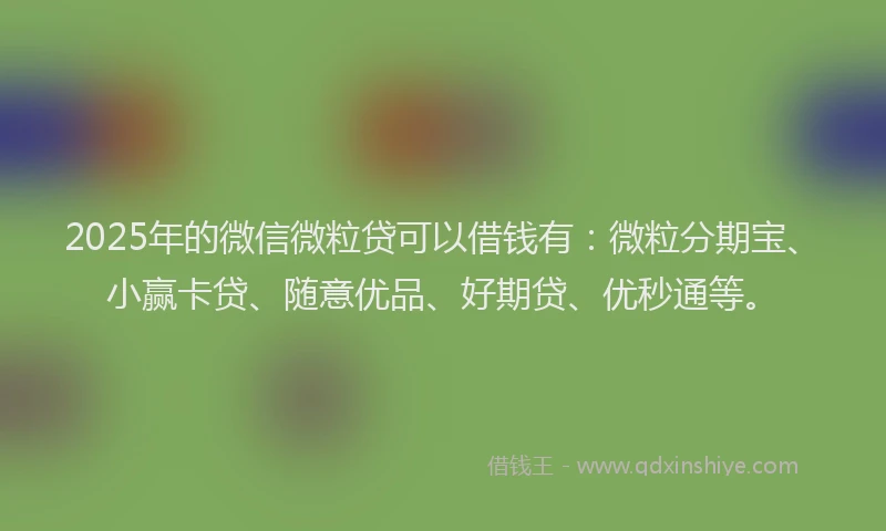 2025年的微信微粒贷可以借钱有：微粒分期宝、小赢卡贷、随意优品、好期贷、优秒通等。