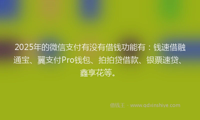 2025年的微信支付有没有借钱功能有：钱速借融通宝、翼支付Pro钱包、拍拍贷借款、银票速贷、鑫享花等。