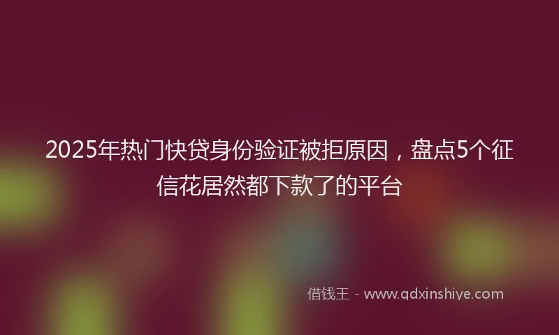 2025年热门快贷身份验证被拒原因，盘点5个征信花居然都下款了的平台