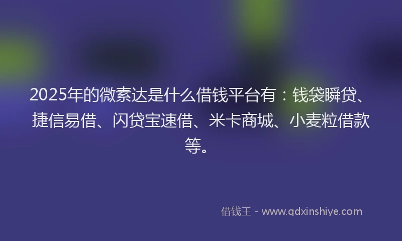 2025年的微素达是什么借钱平台有：钱袋瞬贷、捷信易借、闪贷宝速借、米卡商城、小麦粒借款等。