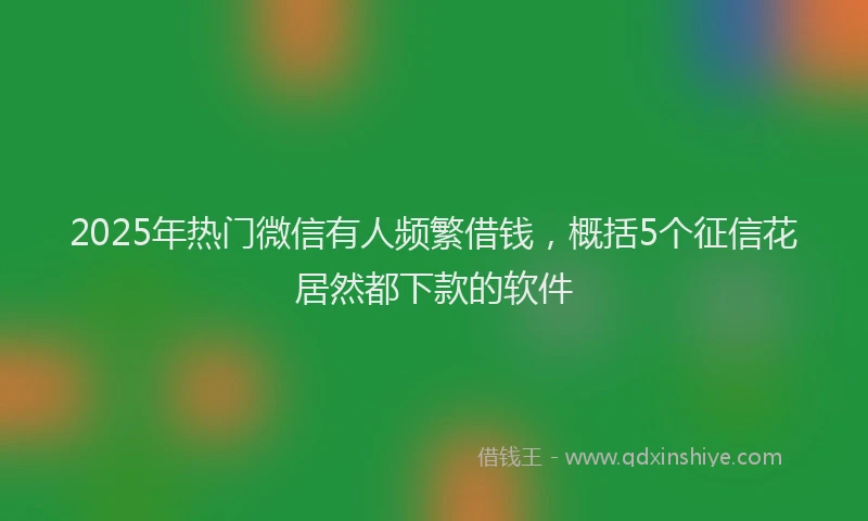 2025年热门微信有人频繁借钱，概括5个征信花居然都下款的软件