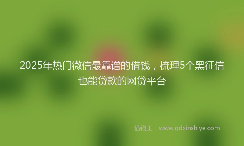 2025年热门微信最靠谱的借钱，梳理5个黑征信也能贷款的网贷平台