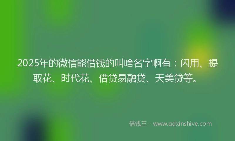 2025年的微信能借钱的叫啥名字啊有：闪用、提取花、时代花、借贷易融贷、天美贷等。