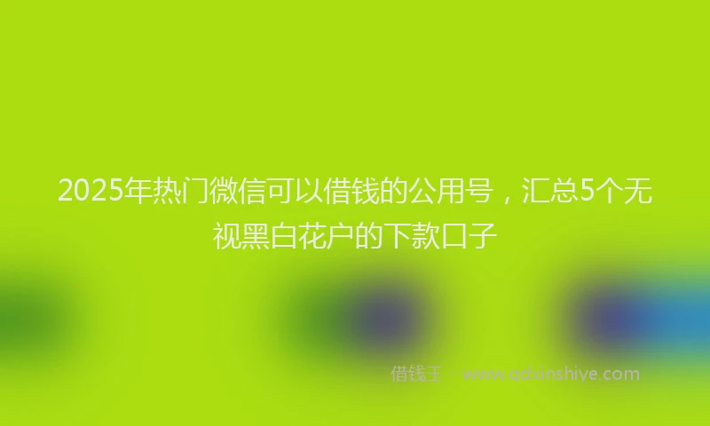 2025年热门微信可以借钱的公用号，汇总5个无视黑白花户的下款口子