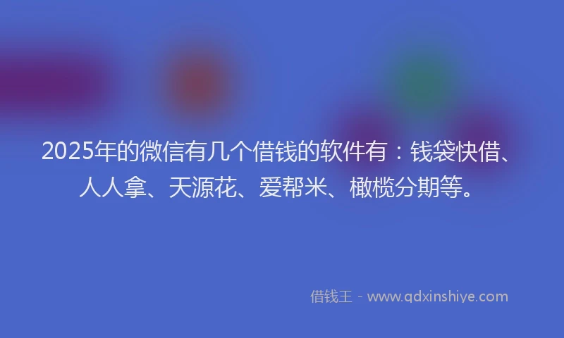 2025年的微信有几个借钱的软件有：钱袋快借、人人拿、天源花、爱帮米、橄榄分期等。