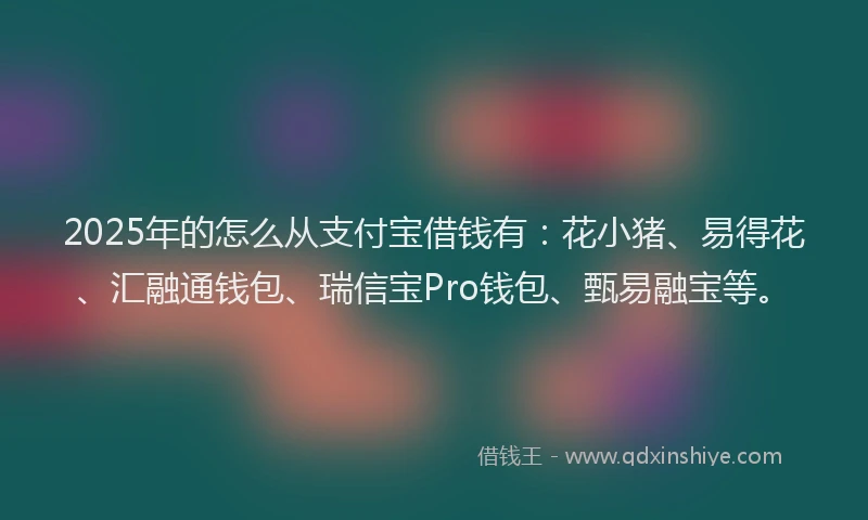2025年的怎么从支付宝借钱有：花小猪、易得花、汇融通钱包、瑞信宝Pro钱包、甄易融宝等。