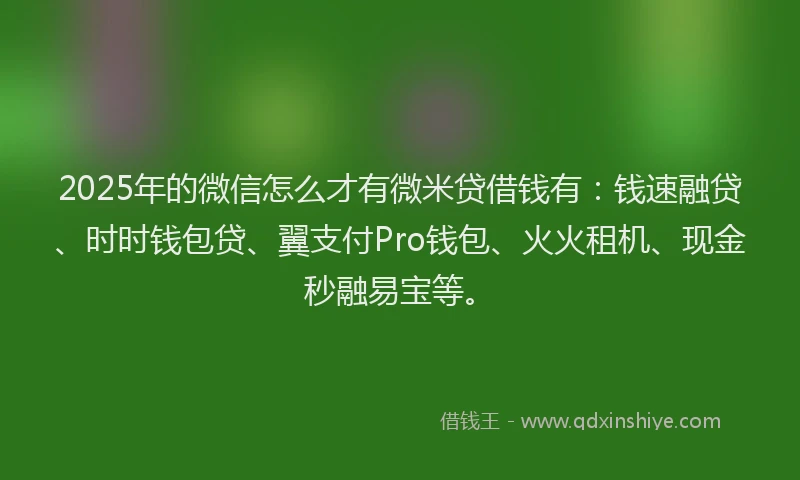 2025年的微信怎么才有微米贷借钱有：钱速融贷、时时钱包贷、翼支付Pro钱包、火火租机、现金秒融易宝等。