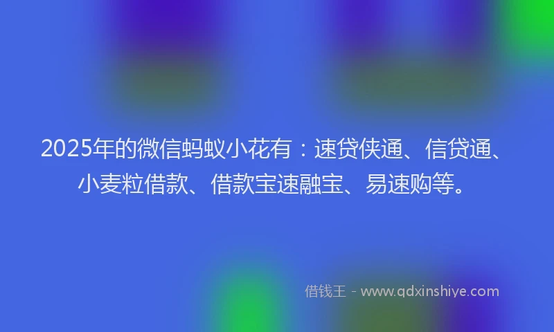 2025年的微信蚂蚁小花有：速贷侠通、信贷通、小麦粒借款、借款宝速融宝、易速购等。