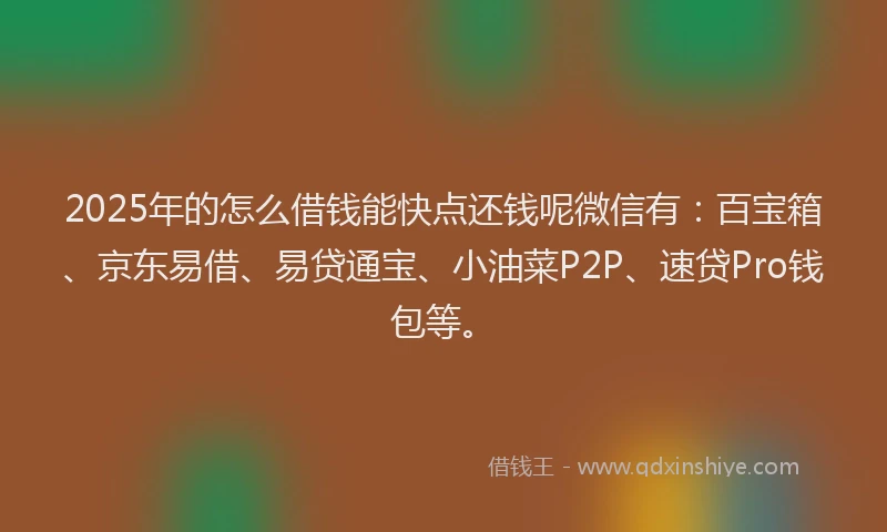 2025年的怎么借钱能快点还钱呢微信有：百宝箱、京东易借、易贷通宝、小油菜P2P、速贷Pro钱包等。