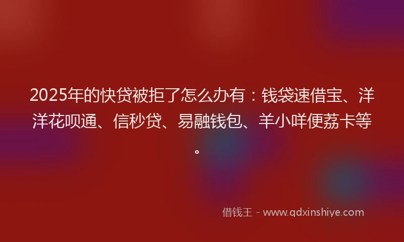 2025年的快贷被拒了怎么办有：钱袋速借宝、洋洋花呗通、信秒贷、易融钱包、羊小咩便荔卡等。