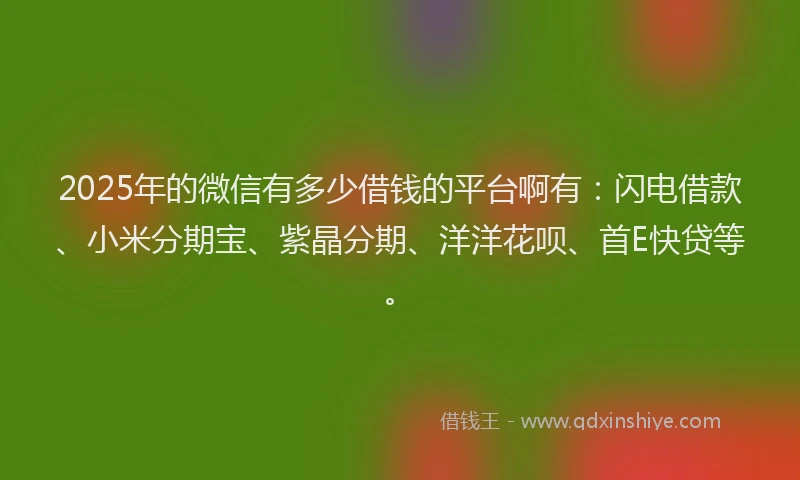 2025年的微信有多少借钱的平台啊有：闪电借款、小米分期宝、紫晶分期、洋洋花呗、首E快贷等。