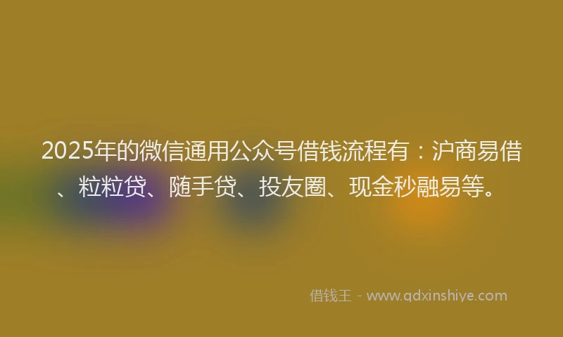 2025年的微信通用公众号借钱流程有：沪商易借、粒粒贷、随手贷、投友圈、现金秒融易等。