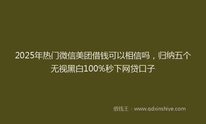 2025年热门微信美团借钱可以相信吗，归纳五个无视黑白100%秒下网贷口子