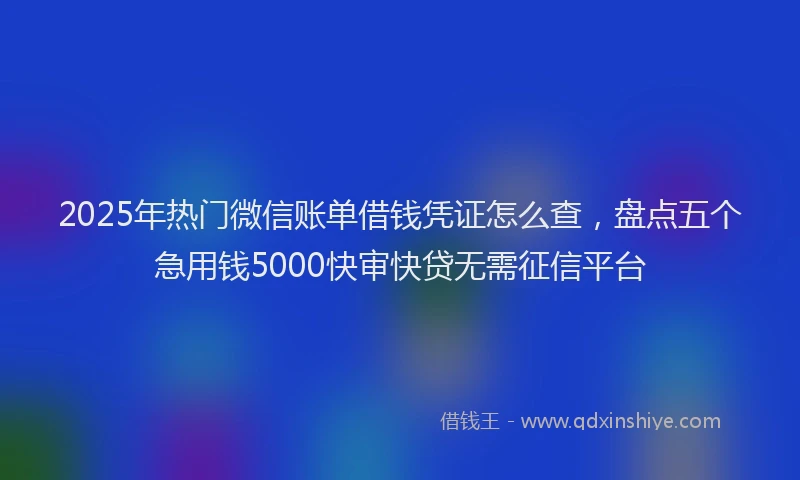 2025年热门微信账单借钱凭证怎么查，盘点五个急用钱5000快审快贷无需征信平台
