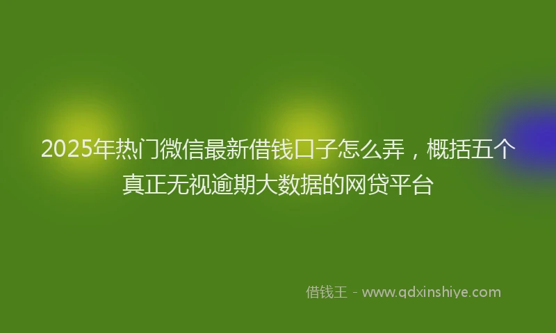 2025年热门微信最新借钱口子怎么弄，概括五个真正无视逾期大数据的网贷平台