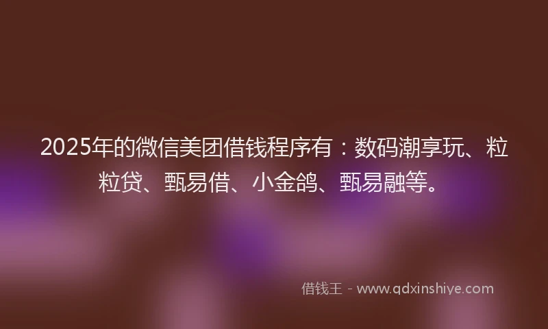2025年的微信美团借钱程序有：数码潮享玩、粒粒贷、甄易借、小金鸽、甄易融等。