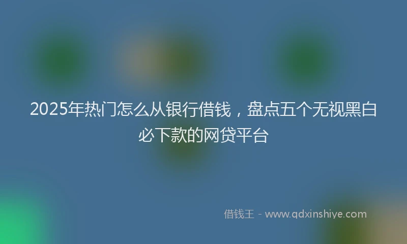 2025年热门怎么从银行借钱，盘点五个无视黑白必下款的网贷平台