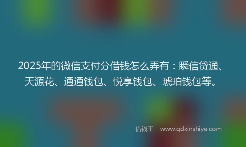2025年的微信支付分借钱怎么弄有：瞬信贷通、天源花、通通钱包、悦享钱包、琥珀钱包等。