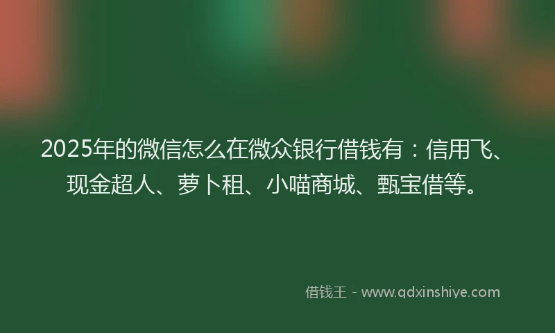 2025年的微信怎么在微众银行借钱有：信用飞、现金超人、萝卜租、小喵商城、甄宝借等。