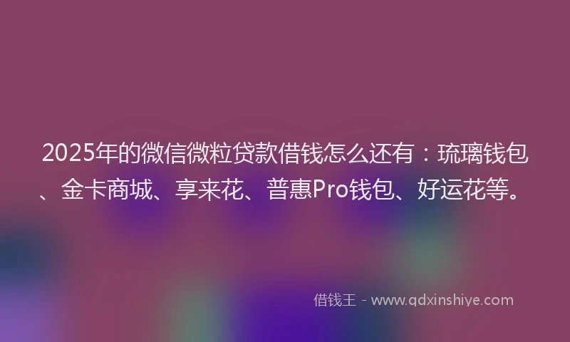 2025年的微信微粒贷款借钱怎么还有：琉璃钱包、金卡商城、享来花、普惠Pro钱包、好运花等。