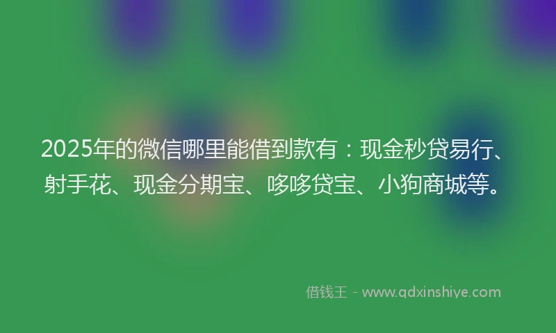 2025年的微信哪里能借到款有：现金秒贷易行、射手花、现金分期宝、哆哆贷宝、小狗商城等。