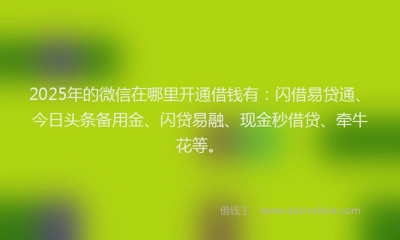 2025年的微信在哪里开通借钱有：闪借易贷通、今日头条备用金、闪贷易融、现金秒借贷、牵牛花等。