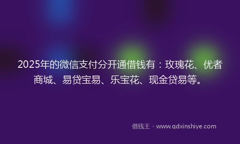 2025年的微信支付分开通借钱有：玫瑰花、优者商城、易贷宝易、乐宝花、现金贷易等。