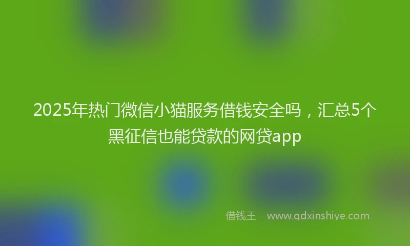 2025年热门微信小猫服务借钱安全吗，汇总5个黑征信也能贷款的网贷app