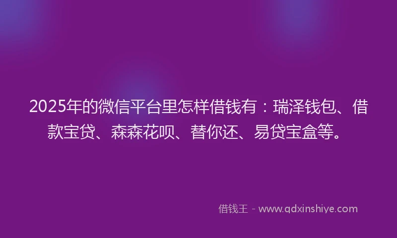 2025年的微信平台里怎样借钱有：瑞泽钱包、借款宝贷、森森花呗、替你还、易贷宝盒等。