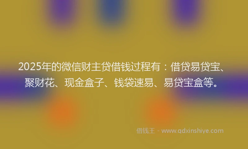 2025年的微信财主贷借钱过程有：借贷易贷宝、聚财花、现金盒子、钱袋速易、易贷宝盒等。